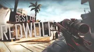 CSGO - Best moments of RedWolf #1