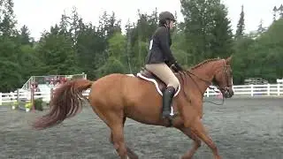 Scotch On The Rocks, Ashlynn L 2'9" Hunter CVPC Show June 2023