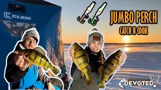 JUMBO PERCH - Catch N Cook