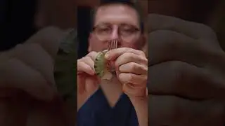 Как БЫСТРО почистить креветки 🍤❓