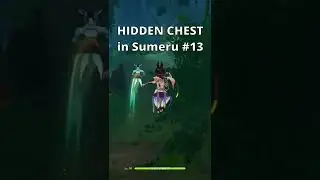 HIDDEN CHEST you might have missed in Sumeru #13 | Genshin Impact 