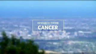 Research Theme: Cancer