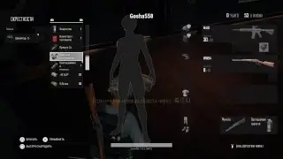 PUBG  НА PlayStation4