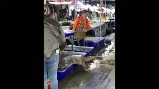 Tell me you are in Thailand without telling me you are in Thailand