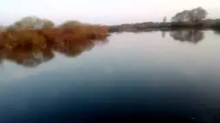 Ловля голавля в апреле на куриную печень