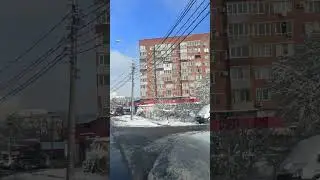 Краснодарская зима.❄️🌲❄️