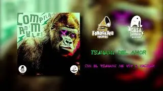 17.-Tsunami del Amor - Con El Tsunami me voy a Vacilar @Compilado Amimal Vol.1
