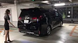 アルファード ヴェルファイア 30系 純正パワーバックドア専用 自動オープン化追加機能キット
