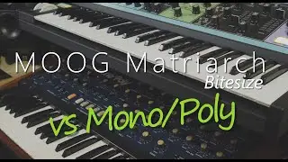 Moog Matriarch Bitesize #2 : Korg Mono/Poly Comparison