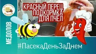 КРАСНЫЙ МОЛОТЫЙ ПЕРЕЦ СТИМУЛИРУЮЩАЯ ВЕСЕННЯЯ подкормка ПЧЕЛ (пчелиных семей) как приготовить 