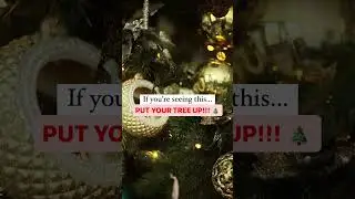 BE HONEST.. 🤔 Who still hasnt’t put up their 