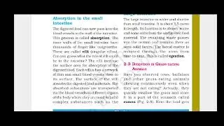 Stomach, Small Intestine, Large Intestine function in our body | Human Digestive System
