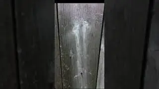 ПОКОРМИЛ ЦЫГАНА