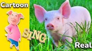Cartoon Sing in real life all characters 💥