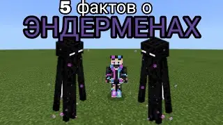 5 фактов о эндерменах