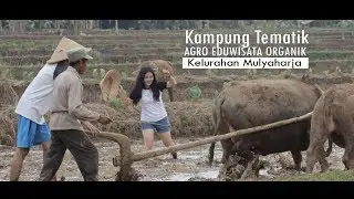 Agro Edu Wisata Organik - Kampung Tematik Mulyaharja