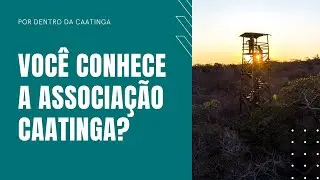 Você conhece a Associação Caatinga?