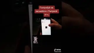 попробуй не засмеятся с пипипукой