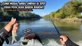 UMPAN LUMUT HALUS GACOR BANGET!! Mancing wader putihan (lukas) teknik kumbul umpan lumut halus