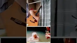 🎶🎸🚿