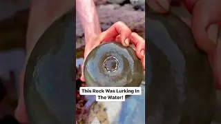 What Will Be Inside?! Finding Fossils On The Beach! 🤯🐊🔨