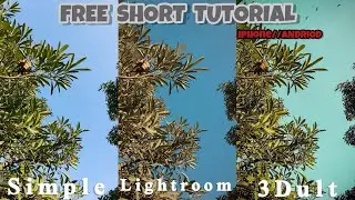 Short Free Editing Tutorial In Lightroom/3Dult || Iphone/3Dult || Moeez Editing Zone