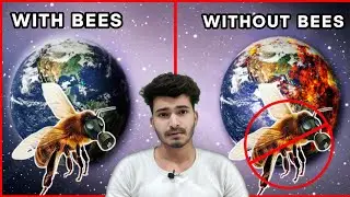 क्या होगा अगर सभी मधुमक्खियां मर जाती हैं ?🚫 | Why Bees Are Important | The Factopedia