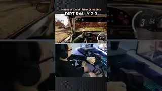 Dirt Rally 2.0 (Hancock Creck Burst - 6.89km) gameplay with PXN-V10 Steering Wheel.