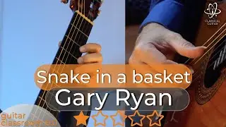 Guitar Tutorial & Performance: 'Snake in a Basket' by Gary Ryan