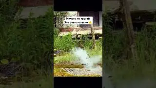 Ничего не трогай 5 #fake #survival #airsoft