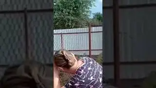 #shorts