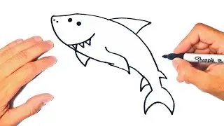 How to draw a Shark Step by Step | Shark Drawing Lesson