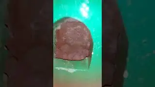 خاک شفا اس خاک میں شفا کیوں ہے