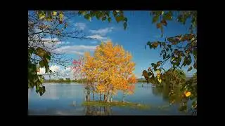 Craig Armstrong   Me Before You Orchestral