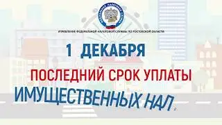 Налоговая (МФЦ)