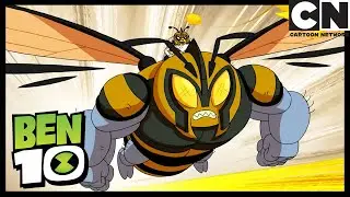 Бен в Риме, часть 2: В плену у пчелы | Бен 10 на русском | Cartoon Network