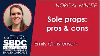 Sole Props: pros and cons