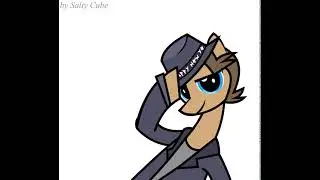 Jerma pony m'lady tip