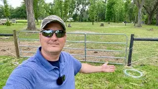 New babies, farm life just got a lot simpler!