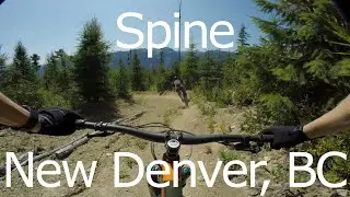 Spine - New Denver, BC