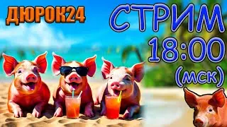 ДЮРОК24 | Свиноводческие посиделки | 22 июня