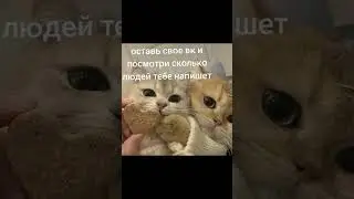 отвечу всем