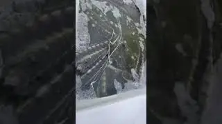 Сегодня зарыбили 330 кг русско-амурского осетра в первый пруд, средняя навеска 1.9 кг.