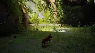 Stray - Realistic Cat Simulator