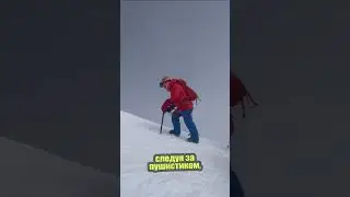 Кот - альпинист