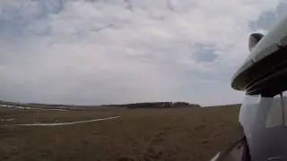 Чумной селезень весна 2017.