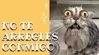 Esto NO es un "arréglate conmigo".