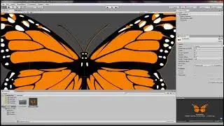 Unity - Basic