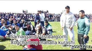 Samarqand Pastdargʻom xogcharbog' mahalla kurashi!