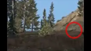 found footage